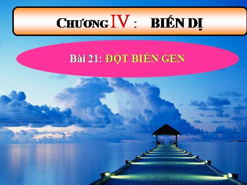 Bài 21. Đột biến gen