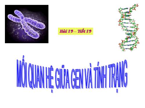 Bài 19. Mối quan hệ giữa gen và tính trạng