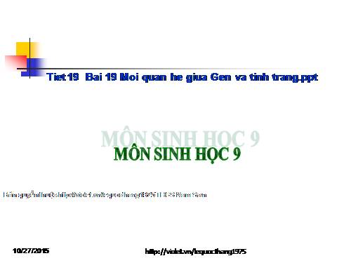 Bài 19. Mối quan hệ giữa gen và tính trạng
