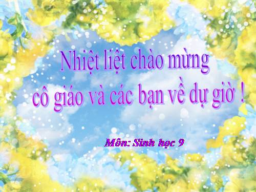 Bài 22. Đột biến cấu trúc nhiễm sắc thể