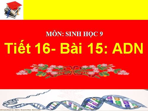 Bài 15. ADN