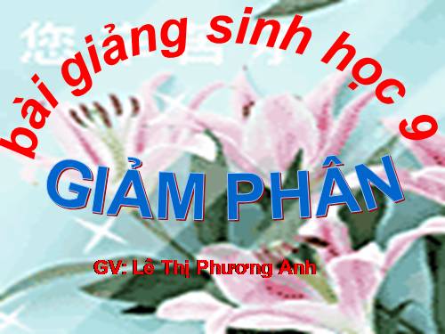 Bài 10. Giảm phân