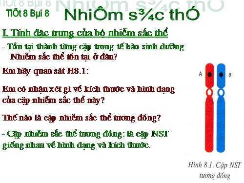 Bài 8. Nhiễm sắc thể