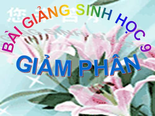 Bài 10. Giảm phân