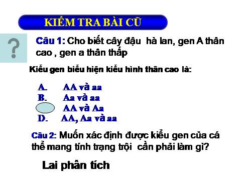 Bài 4. Lai hai cặp tính trạng