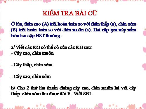 Bài 8. Nhiễm sắc thể