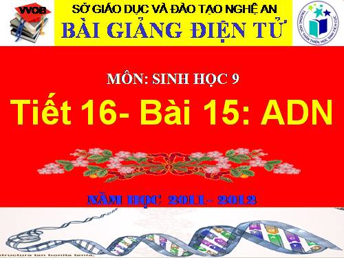 Bài 15. ADN