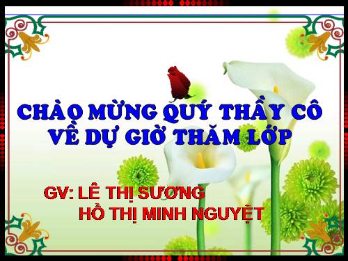 Bài 61. Luật Bảo vệ môi trường