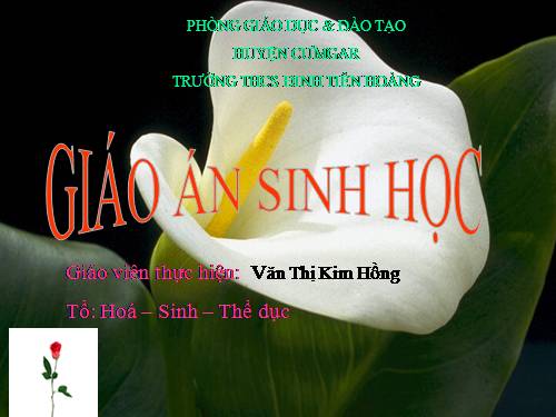 Bài 26. Thực hành: Nhận biết một vài dạng đột biến