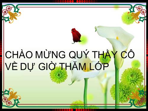 Bài 60. Bảo vệ đa dạng các hệ sinh thái