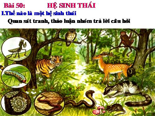 Bài 50. Hệ sinh thái