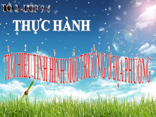 Bài 57. Thực hành: Tìm hiểu tình hình môi trường ở địa phương