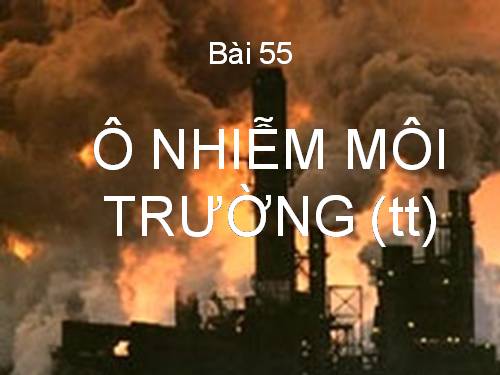 Bài 55. Ô nhiễm môi trường (tiếp theo)