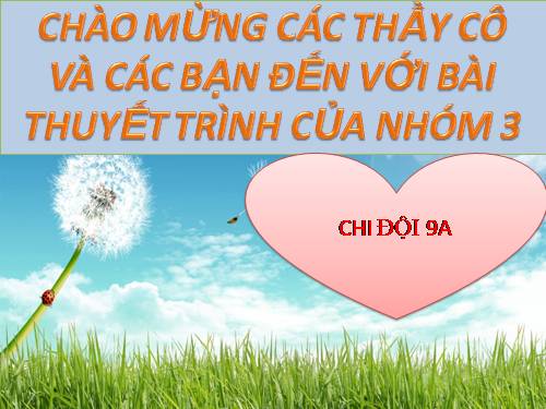 Bài 55. Ô nhiễm môi trường (tiếp theo)