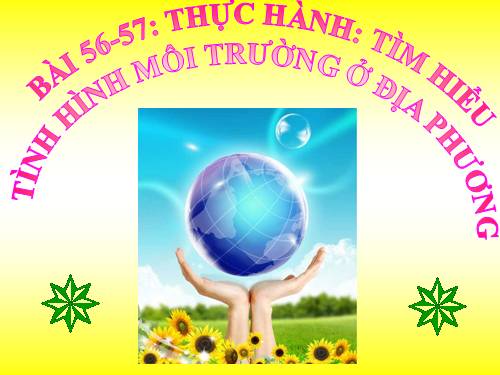 Bài 56. Thực hành: Tìm hiểu tình hình môi trường ở địa phương