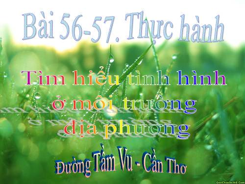 Bài 56. Thực hành: Tìm hiểu tình hình môi trường ở địa phương