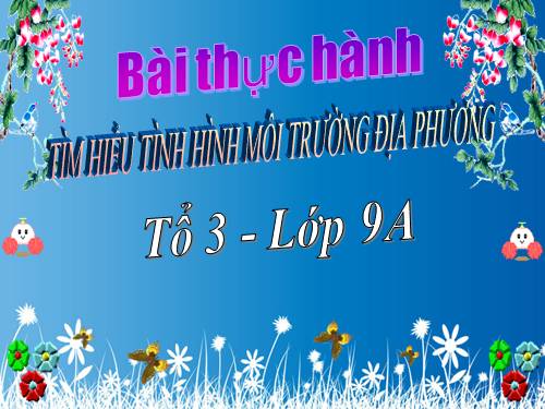 Bài 57. Thực hành: Tìm hiểu tình hình môi trường ở địa phương