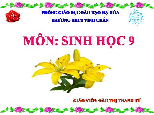 Bài 55. Ô nhiễm môi trường (tiếp theo)