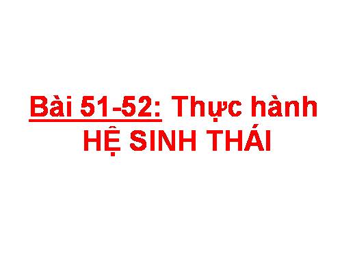 Bài 52. Thực hành: Hệ sinh thái