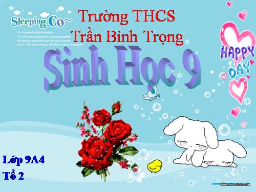 Bài 57. Thực hành: Tìm hiểu tình hình môi trường ở địa phương