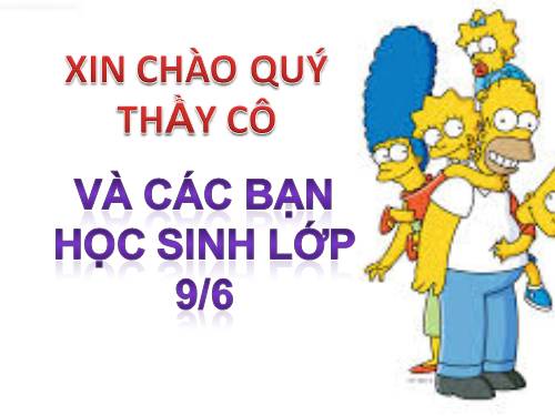 Bài 55. Ô nhiễm môi trường (tiếp theo)