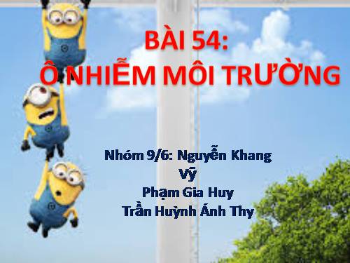 Bài 55. Ô nhiễm môi trường (tiếp theo)