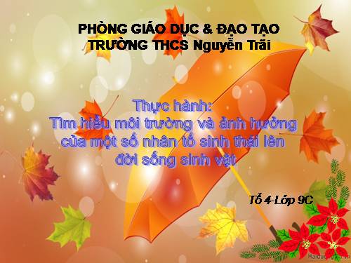 Bài 45. Thực hành: Tìm hiểu môi trường và ảnh hưởng của một số nhân tố sinh thái lên đời sống sinh vật