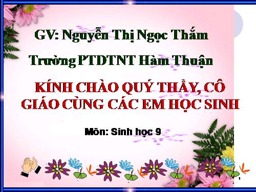 Bài 21. Đột biến gen