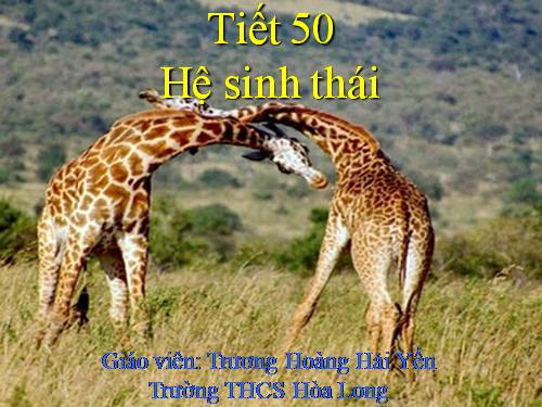 Bài 50. Hệ sinh thái