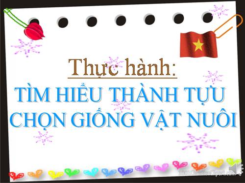 Bài 39. Thực hành: Tìm hiểu thành tựu chọn giống vật nuôi và cây trồng