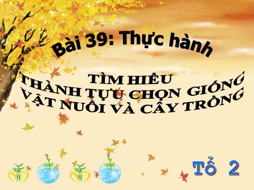 Bài 39. Thực hành: Tìm hiểu thành tựu chọn giống vật nuôi và cây trồng