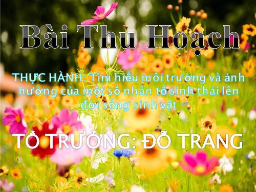 Bài 45. Thực hành: Tìm hiểu môi trường và ảnh hưởng của một số nhân tố sinh thái lên đời sống sinh vật