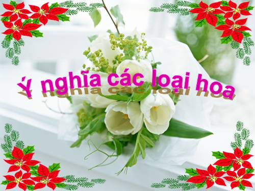 Ý nghĩa các loài hoa