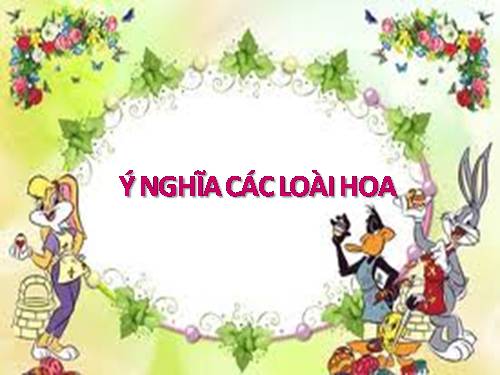 Ý nghĩa các loài hoa