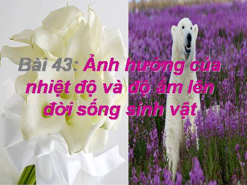 Bài 43. Ảnh hưởng của nhiệt độ và độ ẩm lên đời sống sinh vật