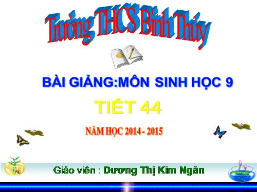Bài 41. Môi trường và các nhân tố sinh thái