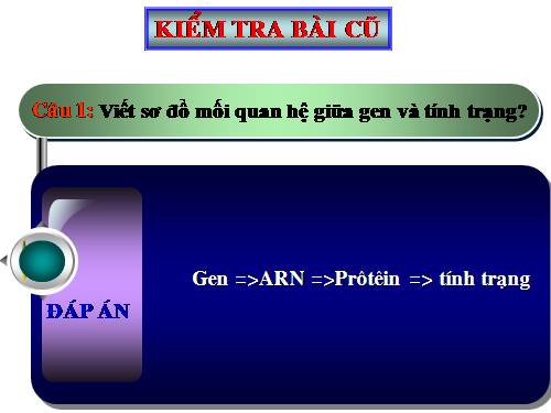 Bài 21. Đột biến gen