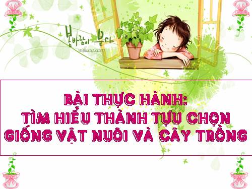 Bài 39. Thực hành: Tìm hiểu thành tựu chọn giống vật nuôi và cây trồng