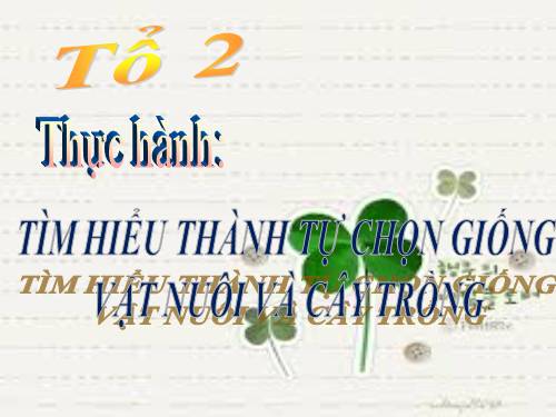 Bài 39. Thực hành: Tìm hiểu thành tựu chọn giống vật nuôi và cây trồng