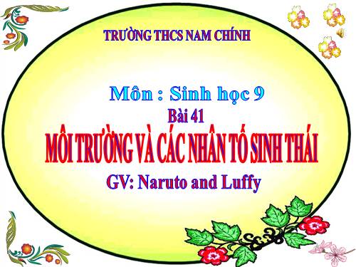 Bài 41. Môi trường và các nhân tố sinh thái