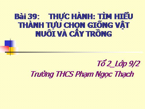 Bài 39. Thực hành: Tìm hiểu thành tựu chọn giống vật nuôi và cây trồng