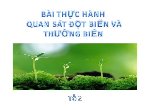 Bài 26. Thực hành: Nhận biết một vài dạng đột biến