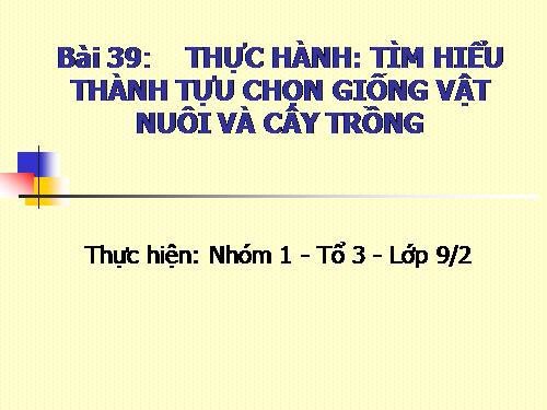 Bài 39. Thực hành: Tìm hiểu thành tựu chọn giống vật nuôi và cây trồng