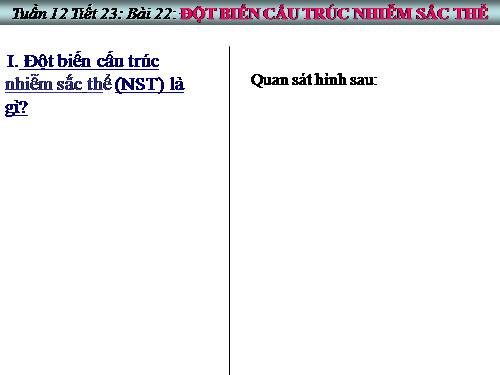 Bài 22. Đột biến cấu trúc nhiễm sắc thể