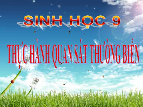 Bài 27. Thực hành: Quan sát thường biến