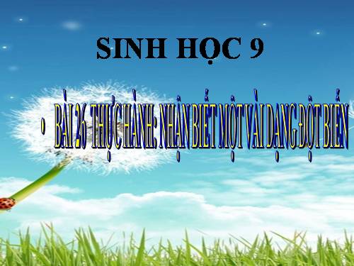 Bài 26. Thực hành: Nhận biết một vài dạng đột biến