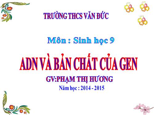 Bài 16. ADN và bản chất của gen