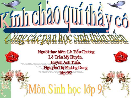 Bài 27. Thực hành: Quan sát thường biến