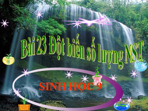 Bài 23. Đột biến số lượng nhiễm sắc thể