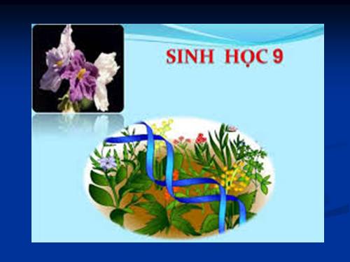 Bài 26. Thực hành: Nhận biết một vài dạng đột biến